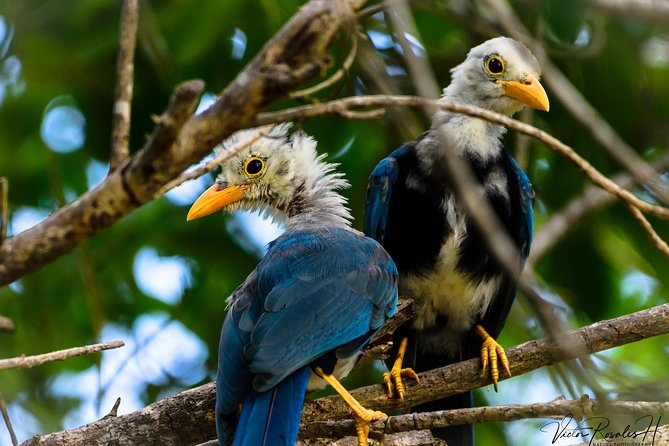 Mahahual and Costa Maya Birdwatching - Lunch adds a local touch