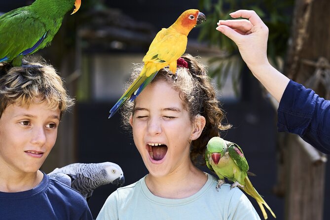 Maleny Botanic Gardens Bird Aviary Experience Ticket - Meeting the birds inside the aviary