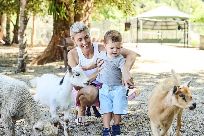 Maleny Botanic Gardens Bird Aviary Experience Ticket - A family day with a treehouse and farm animals
