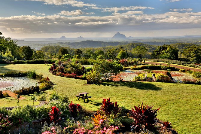 Maleny Botanic Gardens Bird Aviary Experience Ticket - What the guide adds to the visit