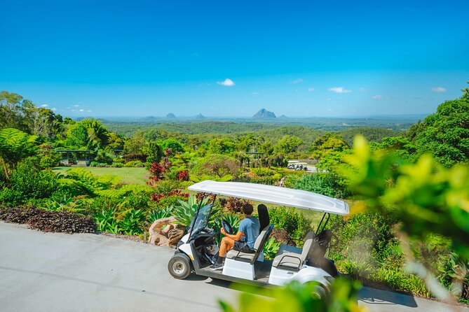 Maleny Botanic Gardens Bird Aviary Experience Ticket - Food, picnics, and the scenic setting