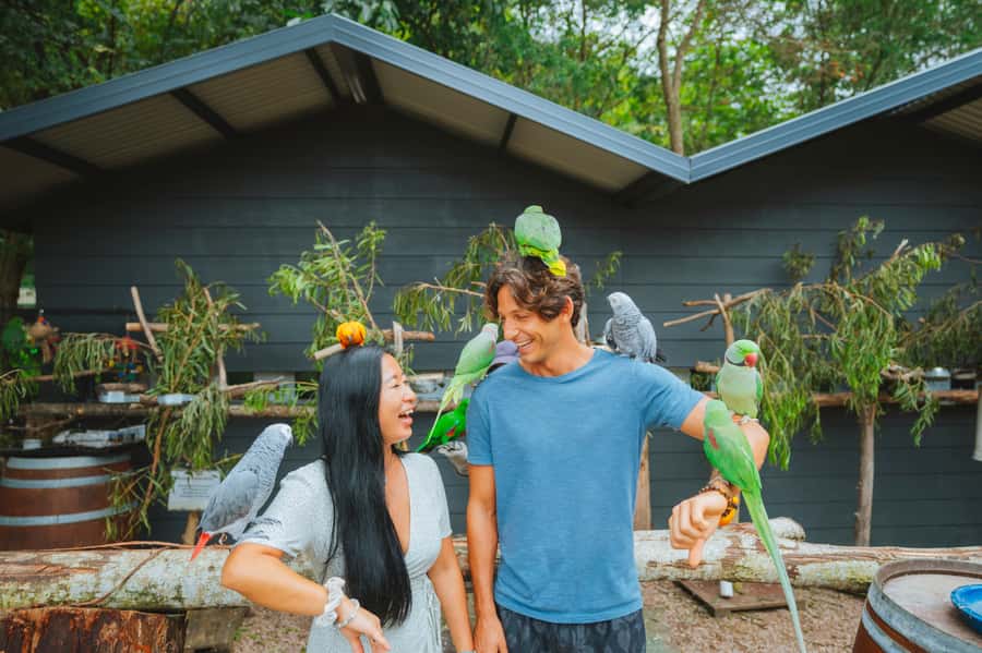 Maleny: Maleny Botanic Gardens & Bird World Entry Ticket - What happens inside the four aviaries