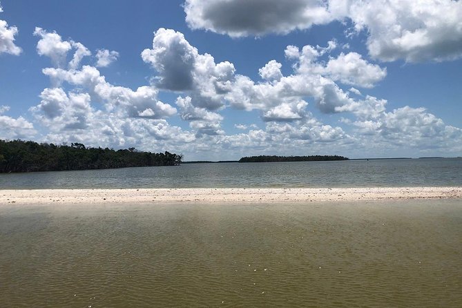 Marco Island: 2-Hour Dolphin, Birding, and Shelling Tour - Setting out from Goodland and the Ten Thousand Islands