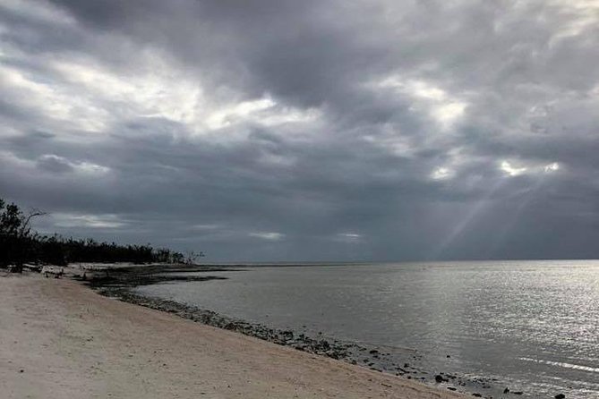 Marco Island: 2-Hour Dolphin, Birding, and Shelling Tour - Timing, weather, and what to pack