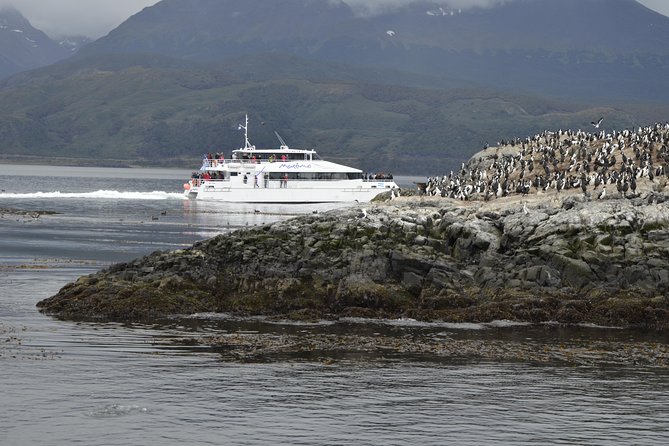 Martillo Island: Boat Trip to the Penguin Colony & Beagle Channel - The return ride, rough water, and seasickness