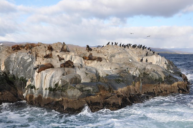 Martillo Island: Boat Trip to the Penguin Colony & Beagle Channel - The Beagle Channel and Ushuaia from the water