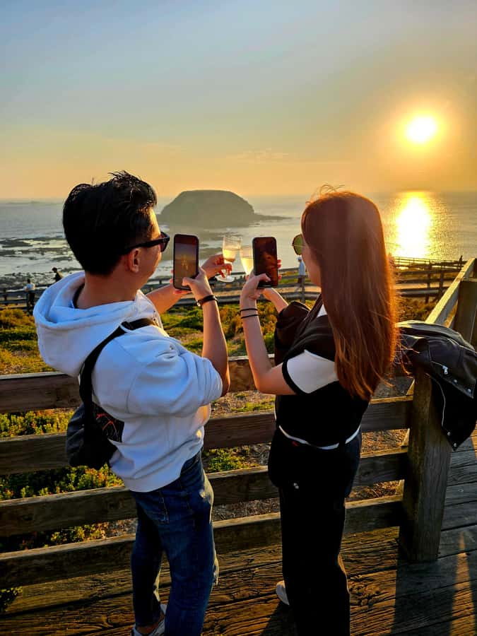 Melbourne: Boutique Phillip Island Wine, Dine & Penguin Tour - Wine, grazing, and wood-fired lunch