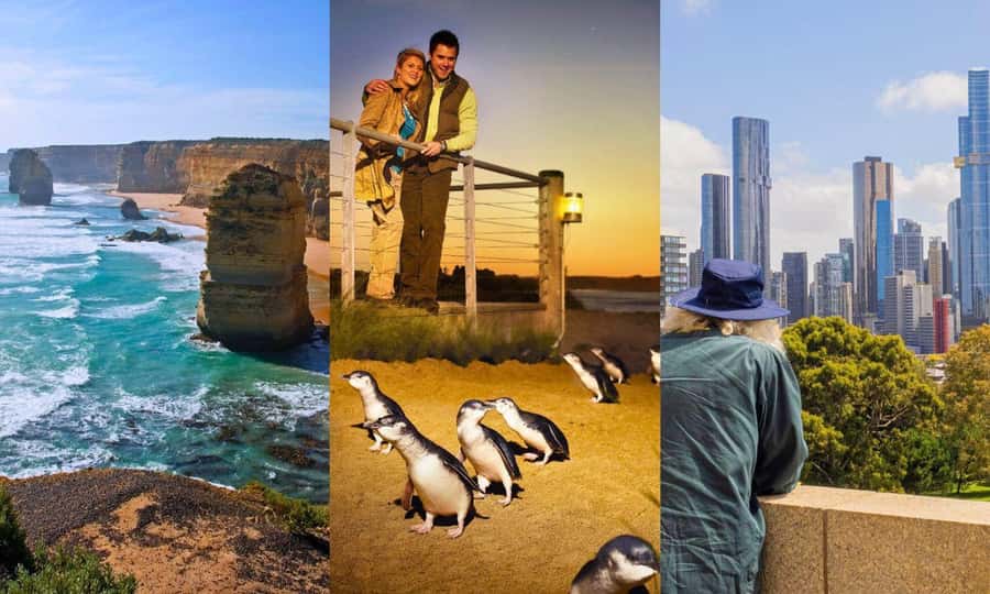 Melbourne: Great Ocean Road, Penguin Parade & Free City Tour - Brighton, Moonlit Sanctuary, and the penguins