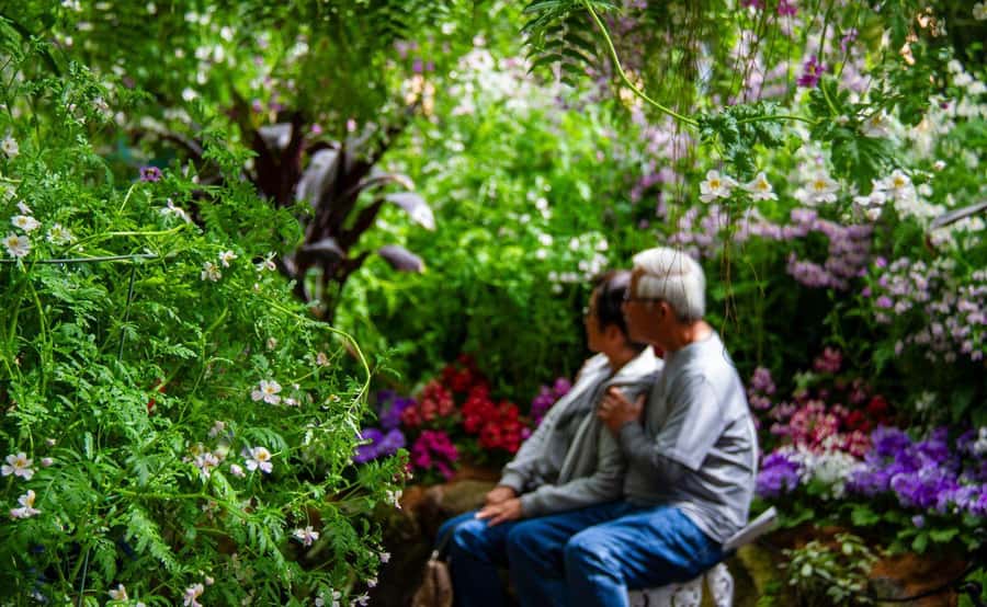 Melbourne Magic: City Highlights and Penguin Parade Tour - Fitzroy Gardens and the old city corners