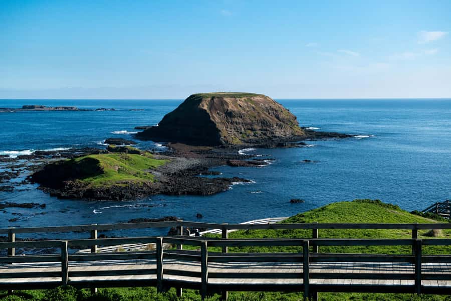 Melbourne: Penguin Parade , Koala & Brighton Bathing Boxes - Key points to know before booking