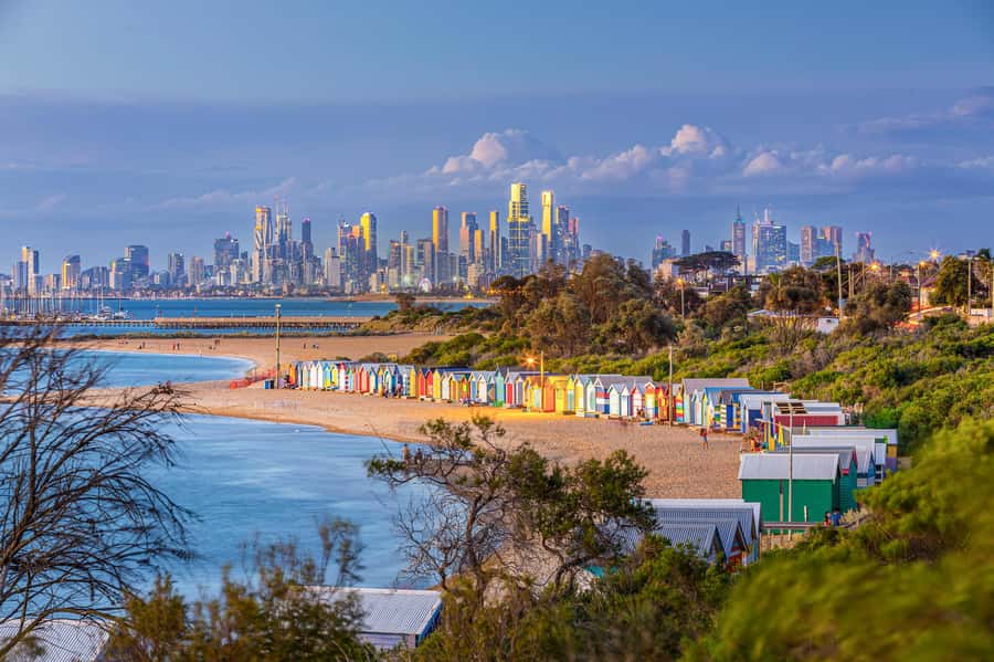 Melbourne: Penguin Parade , Koala & Brighton Bathing Boxes - Why the Penguin Parade makes this day worthwhile