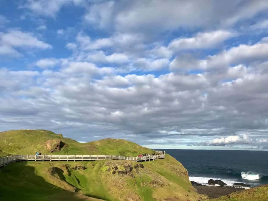 Melbourne: Penguin Parade & Phillip Island Scenic Day Tour - The Nobbies Viewpoint and Phillip Island’s coast