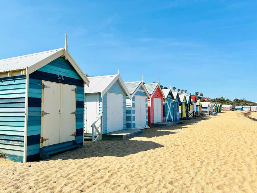 Melbourne: Penguin Parade & Phillip Island Scenic Day Tour - What the $84 price really covers