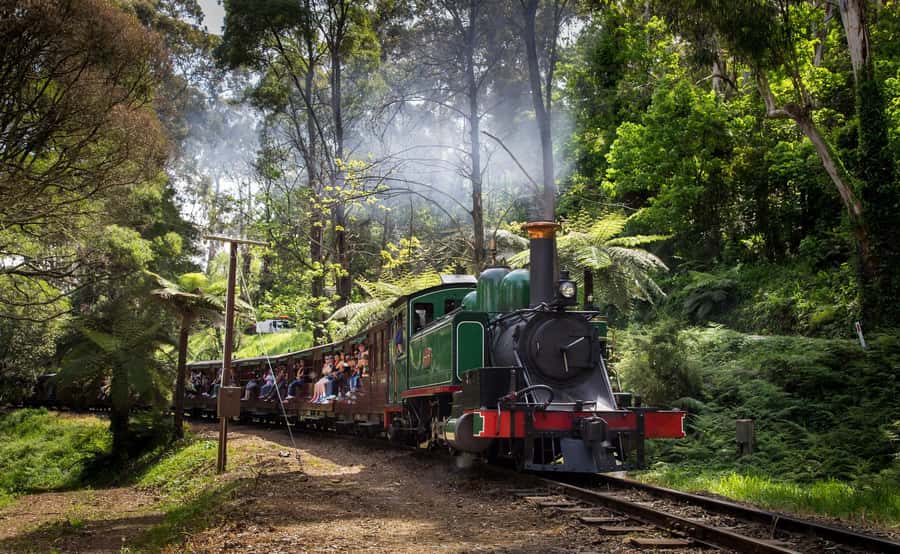 Melbourne: Penguin Parade Tour with Puffing Billy Train Ride - Choosing the Maru Koala and Animal Park visit