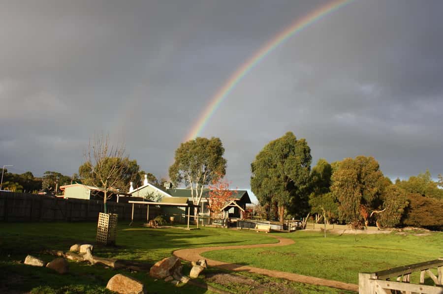 Melbourne: Penguin Parade Tour with Puffing Billy Train Ride - Guides, language, and the feel of the day