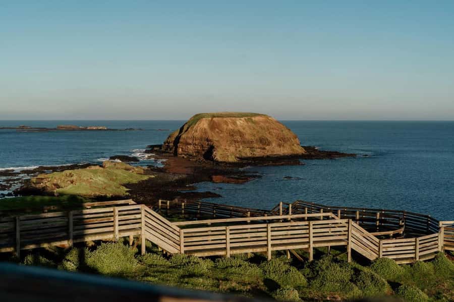 Melbourne: Phillip Island Penguin Parade Watching Day Tour - The Nobbies viewpoint and the Bass Strait coast