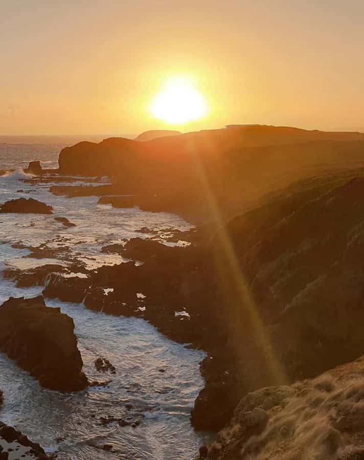 Melbourne: Phillip Island Private Tour with Penguin Parade - What is included for the $688 price