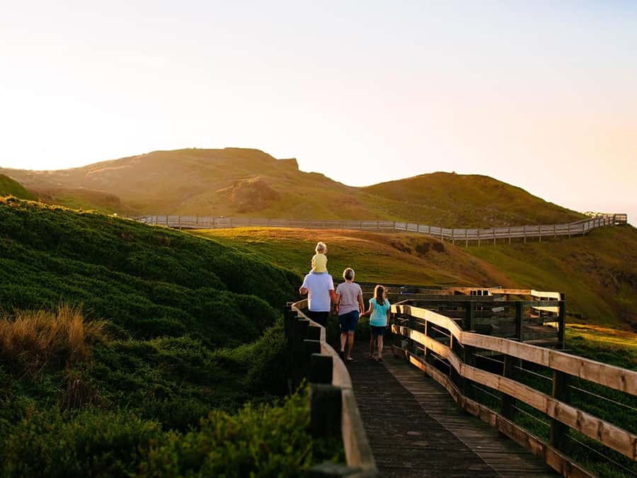 Melbourne: Phillip Island Private Trip, Penguin and Wildlife - Key points at a glance