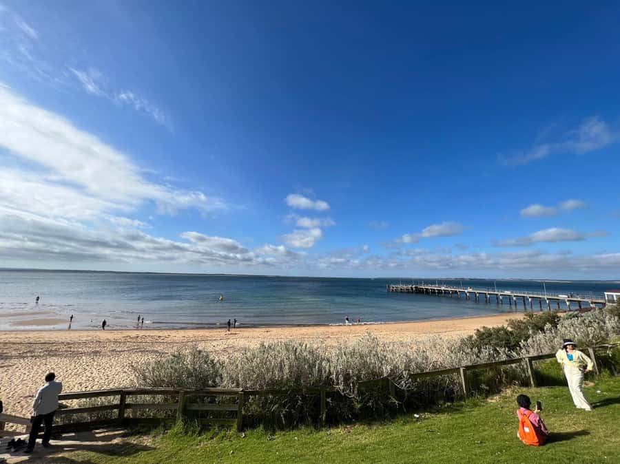 Melbourne: Phillip Island Private Trip, Penguin and Wildlife - Who will enjoy this experience most