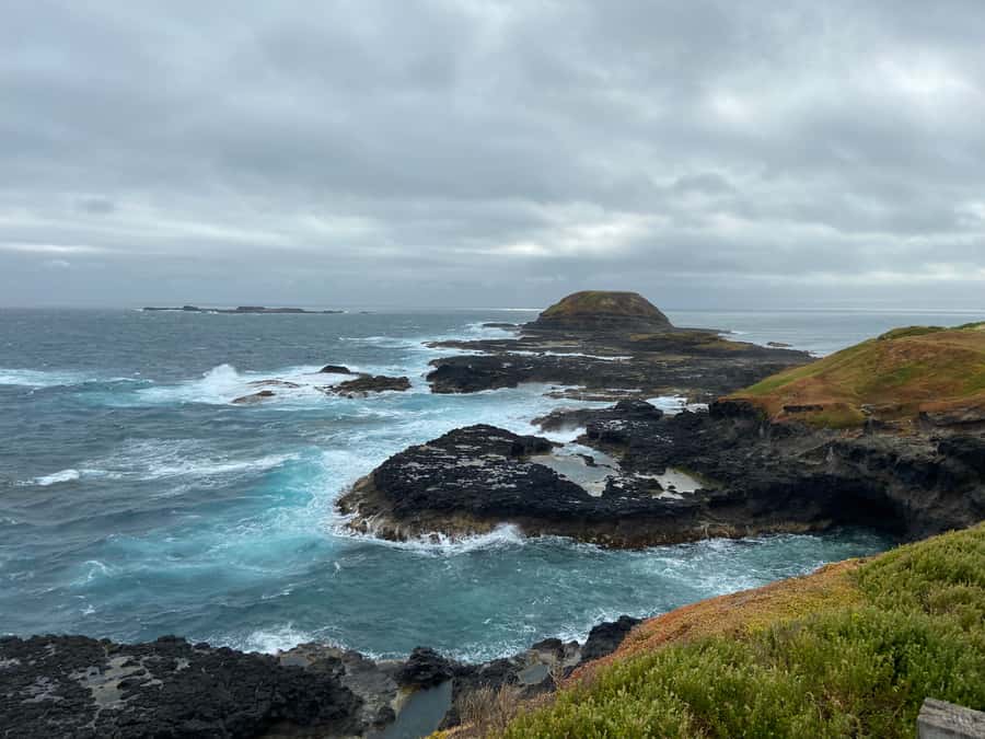 Melbourne: Phillip Island Tour & Penguin Parade - Who will enjoy this Phillip Island day trip?