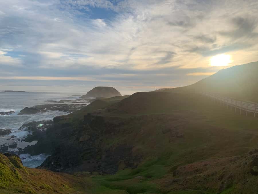 Melbourne: Phillip Island Tour & Penguin Parade - Moonlit Sanctuary puts Australian animals within reach