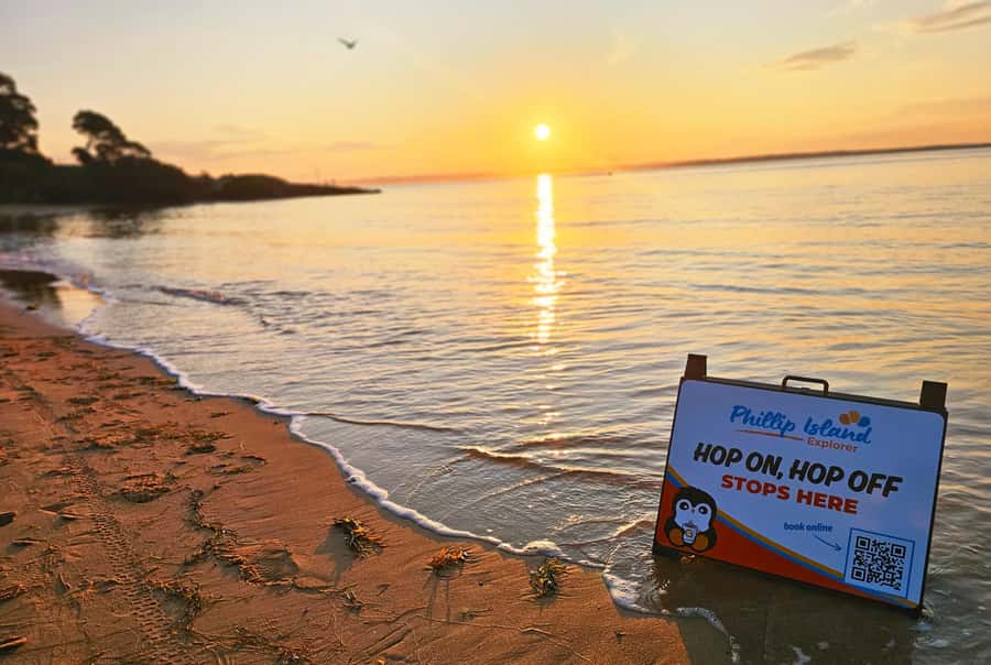 Melbourne: Phillip Island Tour w/ Hop-on Bus or Seal Cruise - Who should book this day trip?