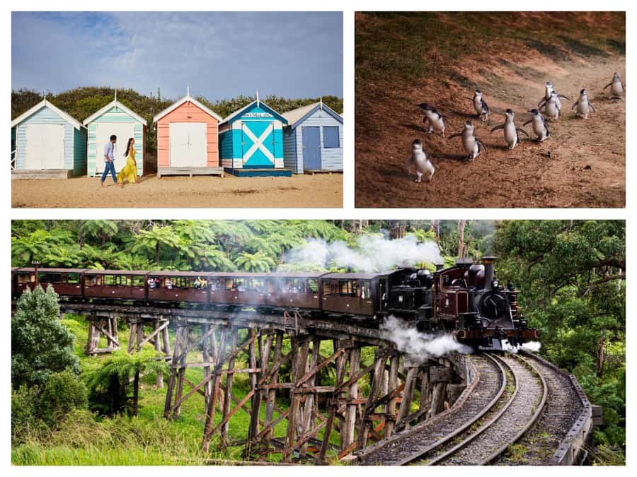 Melbourne: Puffing Billy Penguin Parade Brighton Boxes Tour - Key points at a glance
