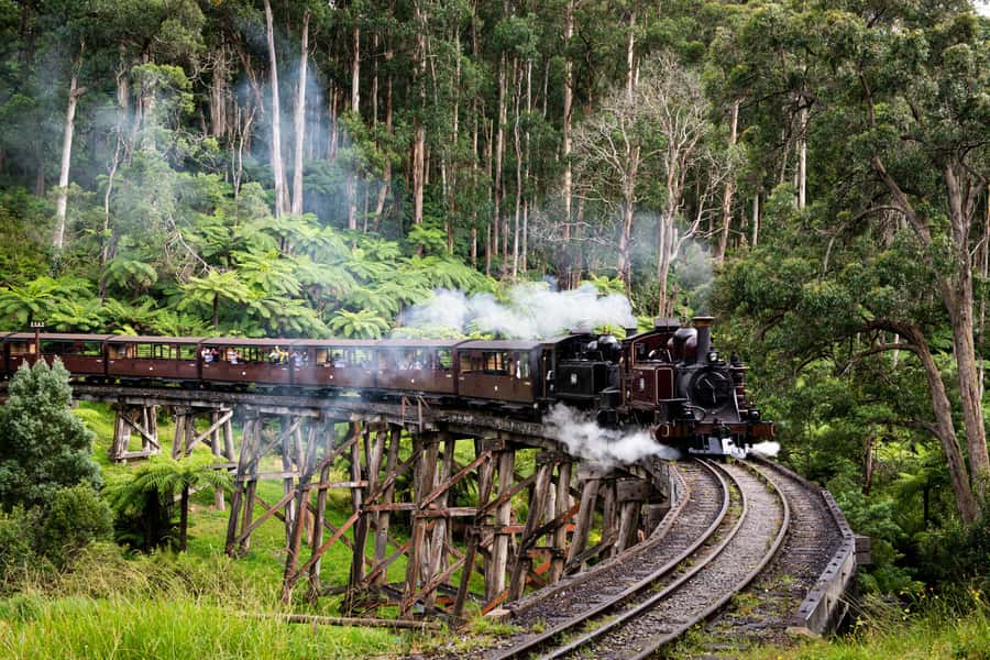 Melbourne: Puffing Billy Penguin Parade Brighton Boxes Tour - Why this day trip works from Melbourne