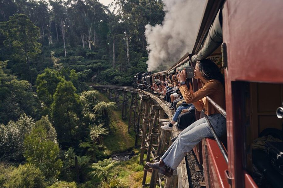 Melbourne: Puffing Billy Penguin Parade Brighton Boxes Tour - Timing, pickup, and what to pack