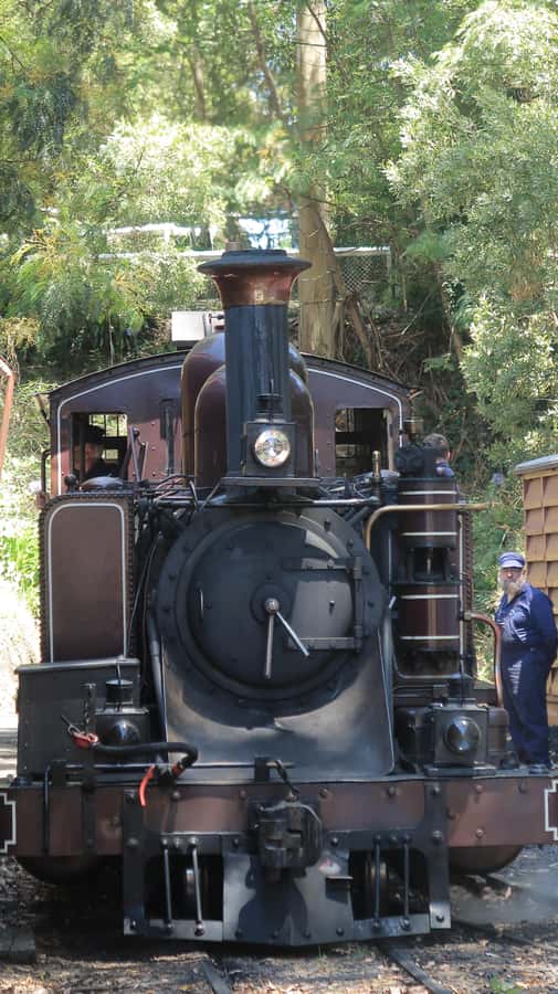 Melbourne: Puffing Billy Train and Penguin Island Day Tour - Key points at a glance