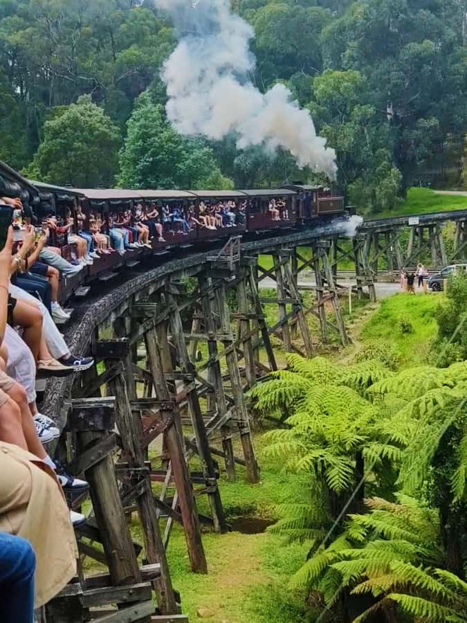 Melbourne: Puffing Billy Train and Penguin Island Day Tour - Starting from Melbourne’s central pickup points