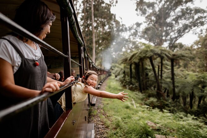 Melbourne Puffing Billy Train and Penguin Parade Day Tour Escape - Two famous sights, one very long day