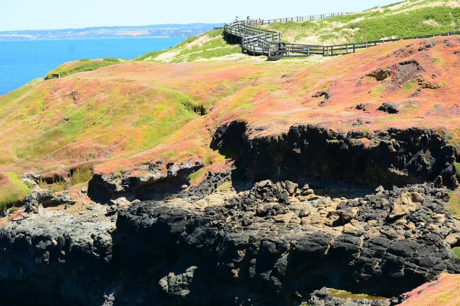 Melbourne: Puffing Billy Train & Penguin Island Excursion - Cowes: a short break before the penguins