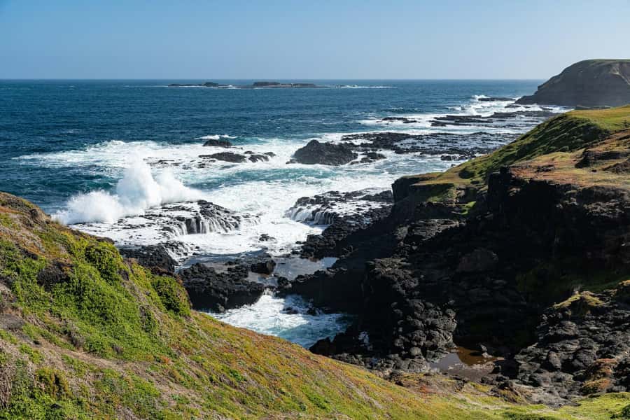 Melbourne: Puffing Billy Train & Penguin Island Excursion - Guides, group pace, and practical limits