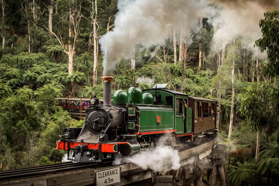 Melbourne: Puffing Billy Train & Penguin Parade Adventure - Riding Puffing Billy through the Dandenong Ranges