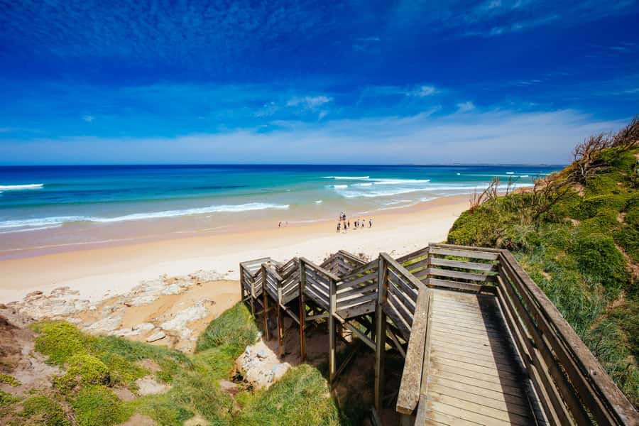 Melbourne: Puffing Billy Train & Penguin Parade Adventure - The long road toward Phillip Island