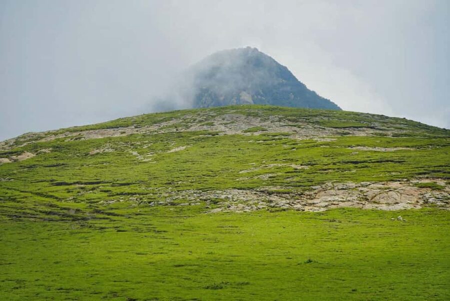 Mogle Mountain Hiking For Birding, Natures From Addis Ababa - The two-hour climb to Mogle’s high point