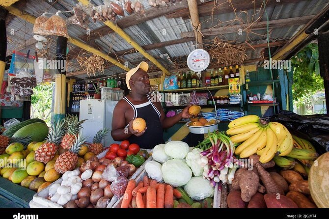 Montego Bay City Highlights & Bird Sanctuary & Shopping - Visiting DBoss Farm and Bird Sanctuary