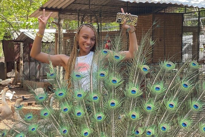 Montego Bay Exotic Herbs, Birds and Animals Interaction Tour - Why this Ironshore outing feels different