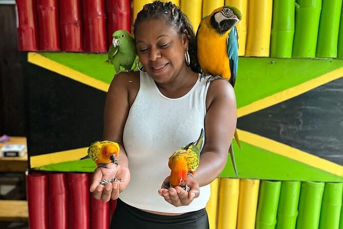 Montego Bay Exotic Herbs, Birds and Animals Interaction Tour - Guides who make the short visit work