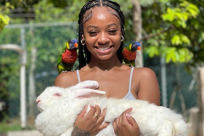 Montego Bay Exotic Herbs, Birds and Animals Interaction Tour - Weather can change the day