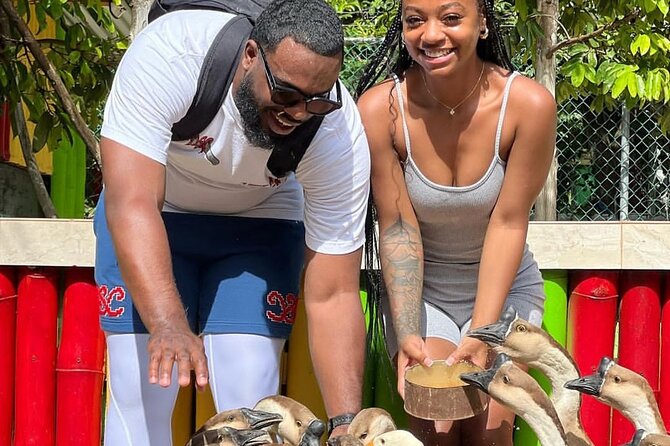 Montego Bay Exotic Herbs, Birds and Animals Interaction Tour - Is $95 a fair price?