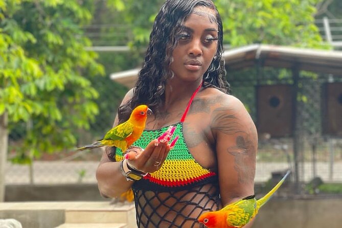 Montego Bay Exotic Herbs, Birds and Animals Interaction Tour - The herb and crop portion adds real context