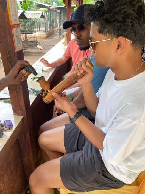 Montego Bay: Marijuana Farm and Bird Sanctuary Tour - What the three-hour outing really offers