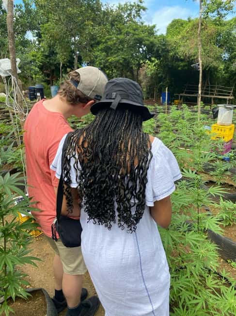 Montego Bay: Marijuana Farm and Bird Sanctuary Tour - Practical questions to ask before pickup