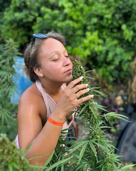 Montego Bay: Marijuana Farm and Bird Sanctuary Tour - Leaving Montego Bay in a private car