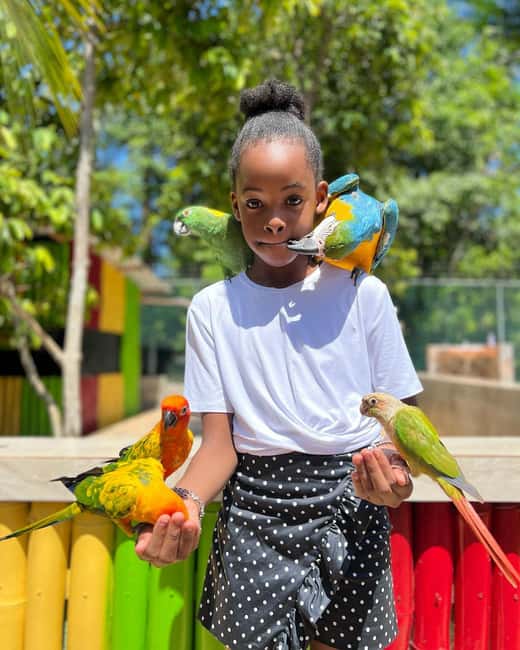 Montego Bay: Marijuana Farm and Bird Sanctuary Tour - The bird sanctuary brings the most hands-on fun