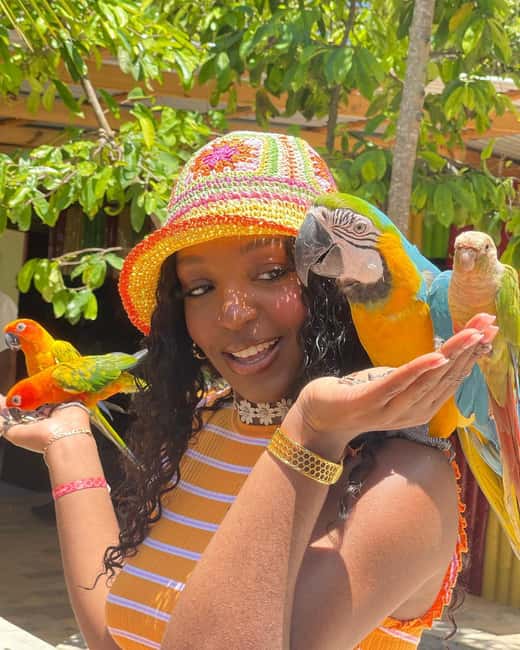 Montego Bay: Marijuana Farm and Bird Sanctuary Tour - What the price means for your budget