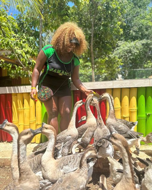 Montego Bay: Marijuana Farm and Bird Sanctuary Tour - How long you may spend at each stop