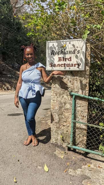 Montego Bay: Private Rocklands Bird Sanctuary Trip - A close look at Jamaica’s Doctor Bird